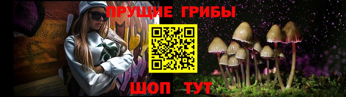 Псилоцибиновые грибы прущие грибы  Вход с VPN  Ступино 